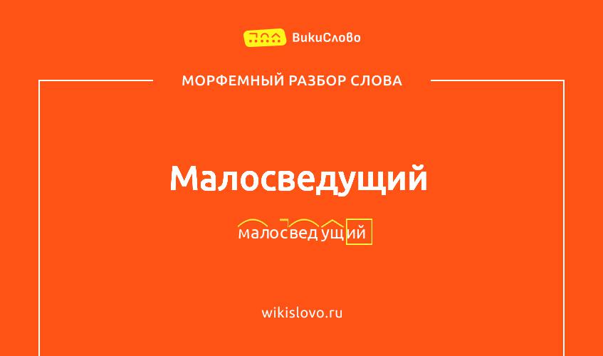 Морфемный разбор слова малосведущий