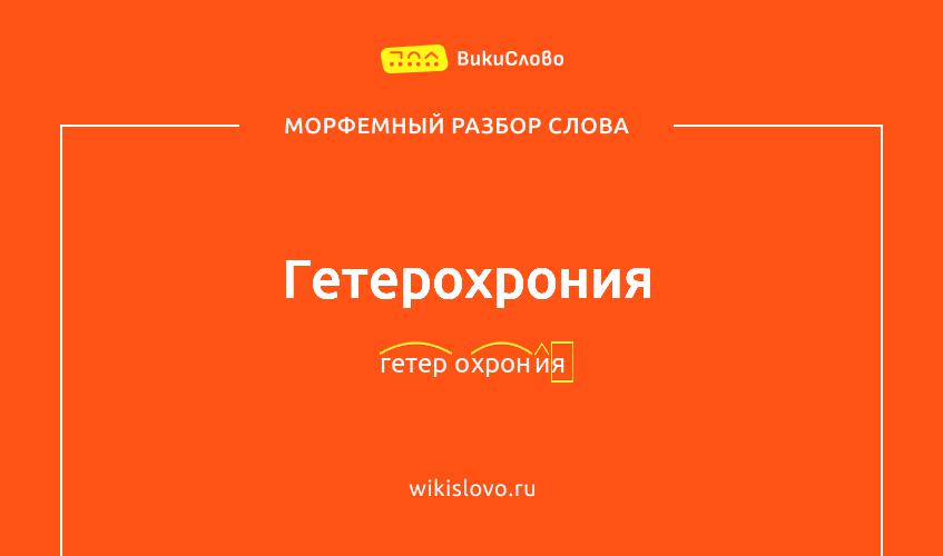 Морфемный разбор слова гетерохрония