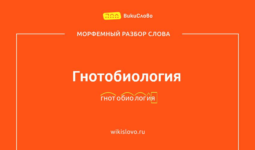 Морфемный разбор слова гнотобиология