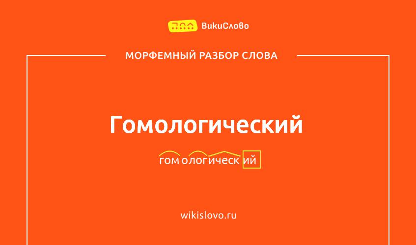 Морфемный разбор слова гомологический