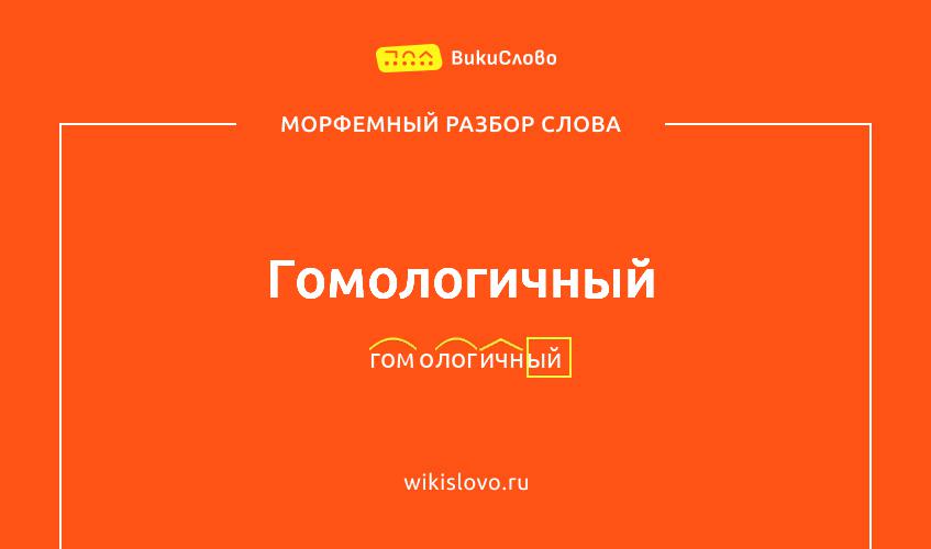 Морфемный разбор слова гомологичный