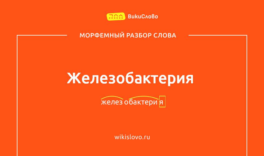 Морфемный разбор слова железобактерия