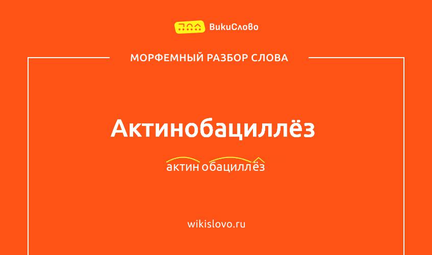 Морфемный разбор слова актинобациллёз