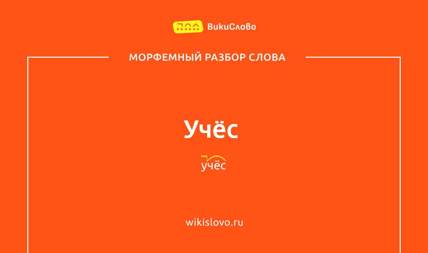 Морфемный разбор слова учёс