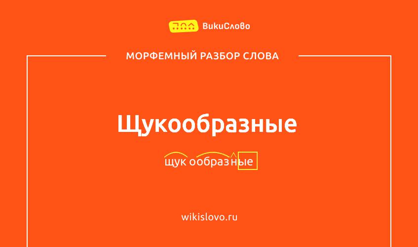 Морфемный разбор слова щукообразные