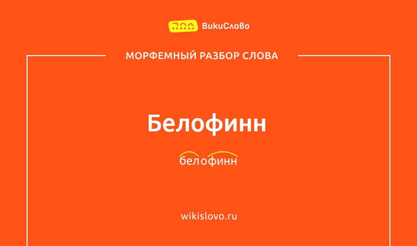 Морфемный разбор слова белофинн
