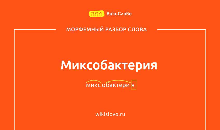 Морфемный разбор слова миксобактерия