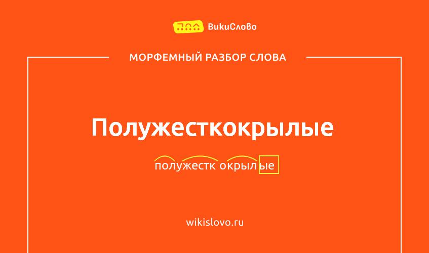 Морфемный разбор слова полужесткокрылые