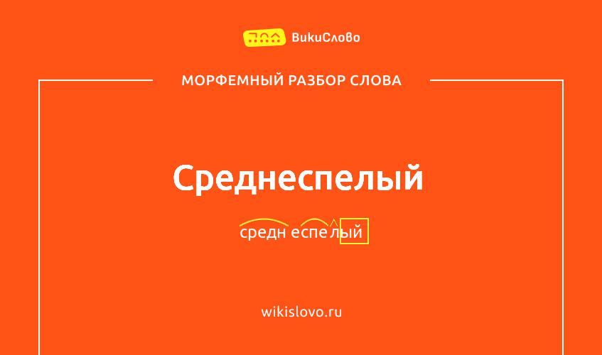 Морфемный разбор слова среднеспелый