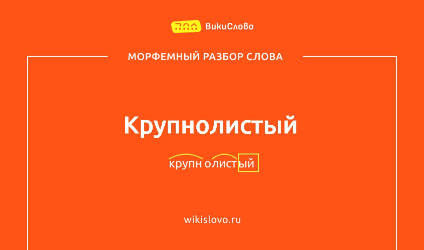 Морфемный разбор слова крупнолистый