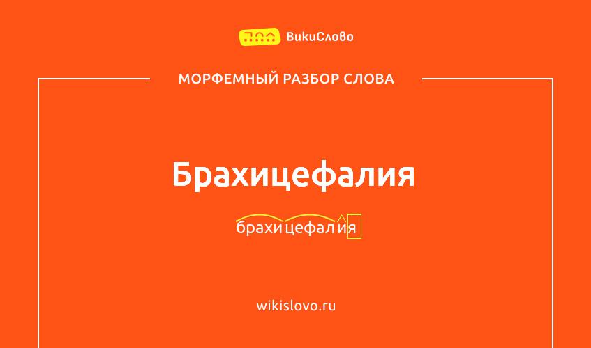 Морфемный разбор слова брахицефалия
