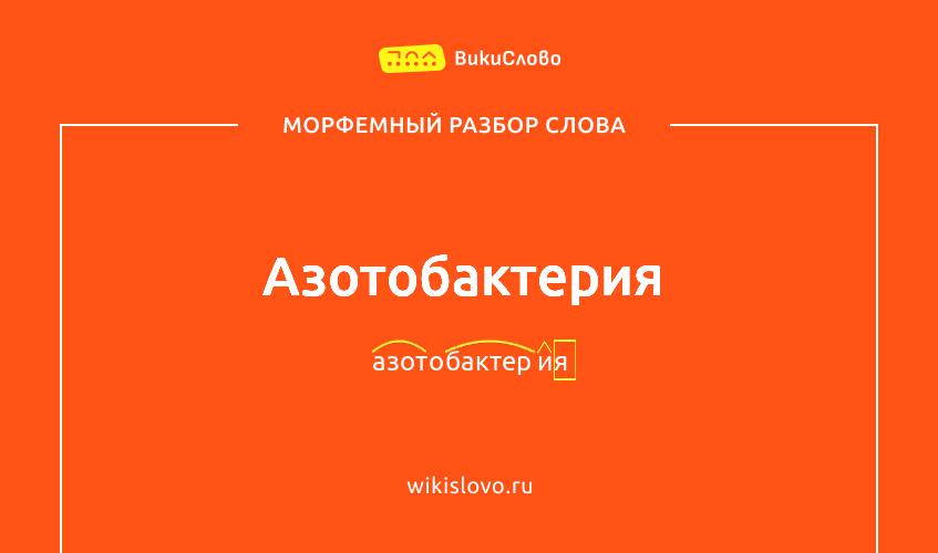 Морфемный разбор слова азотобактерия