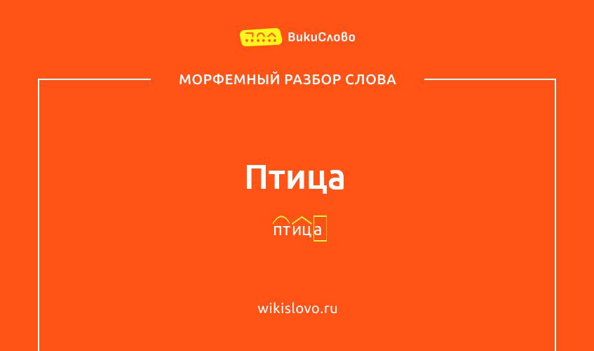 Морфемный разбор слова птица