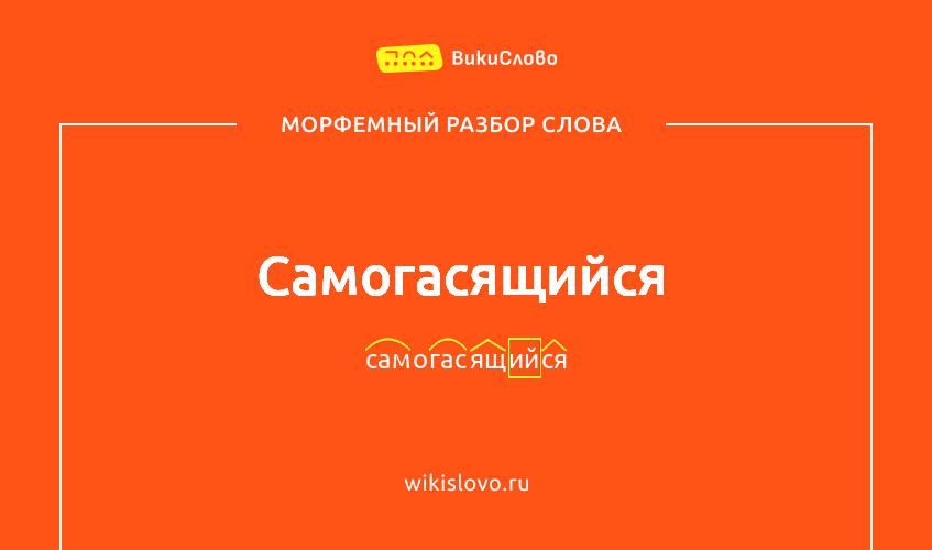 Морфемный разбор слова самогасящийся