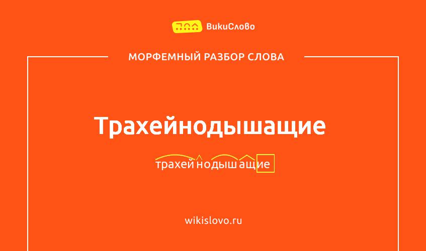 Морфемный разбор слова трахейнодышащие