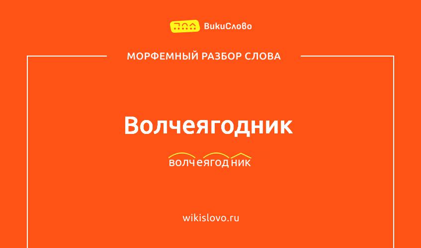Морфемный разбор слова волчеягодник