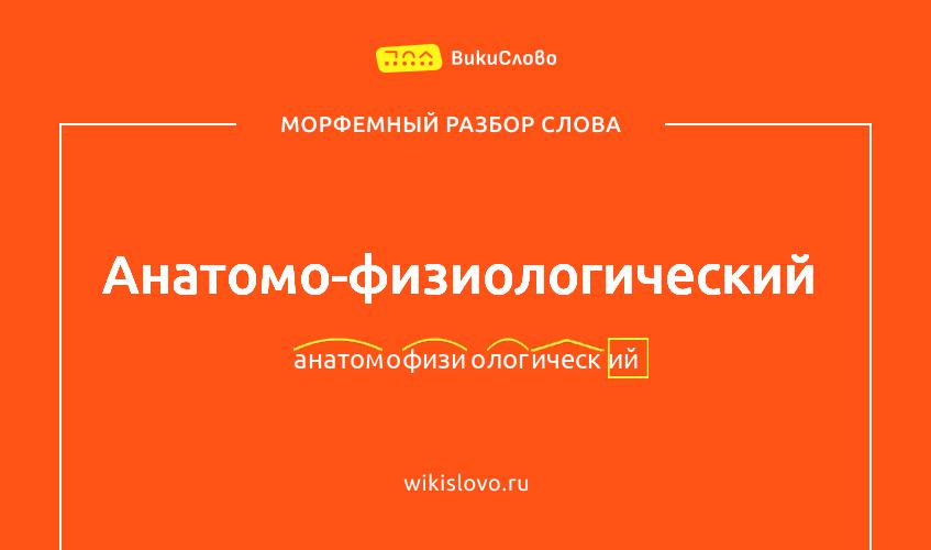 Морфемный разбор слова анатомо-физиологический