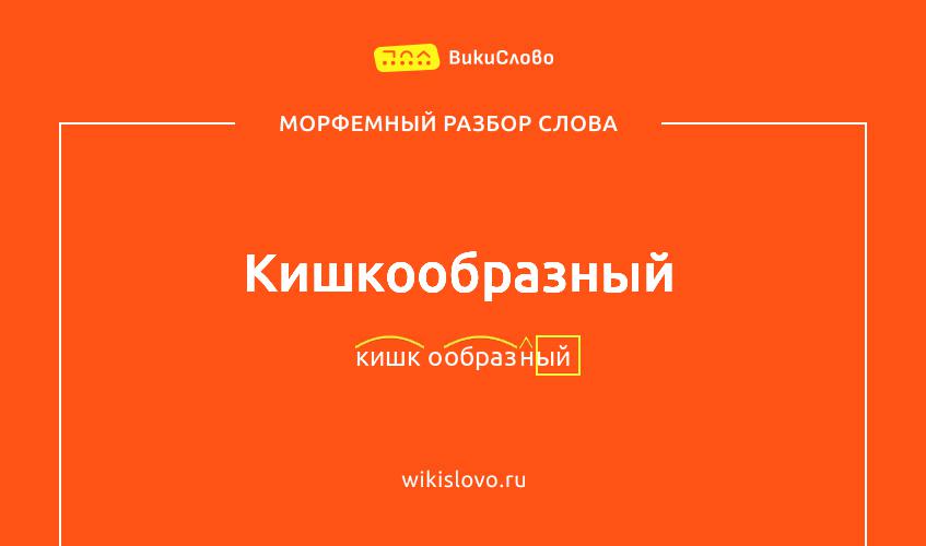 Морфемный разбор слова кишкообразный