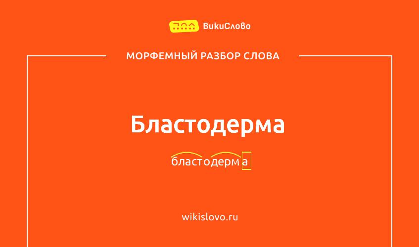 Морфемный разбор слова бластодерма