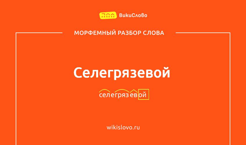 Морфемный разбор слова селегрязевой
