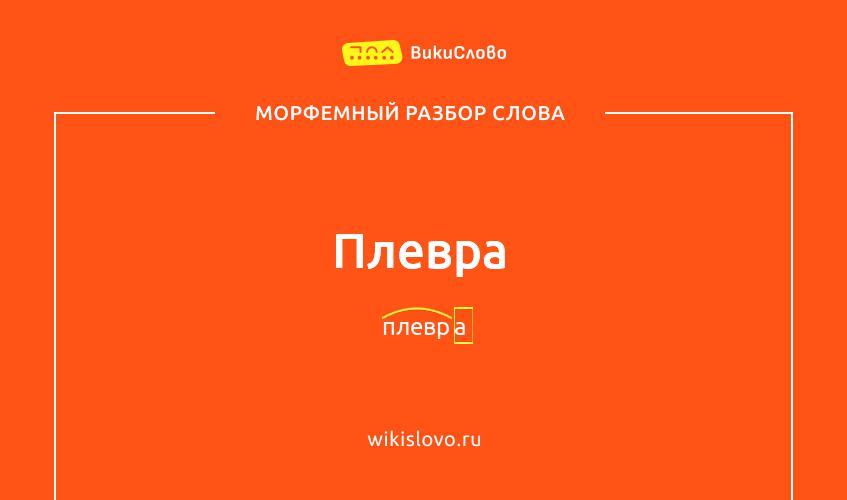 Морфемный разбор слова плевра