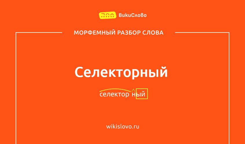 Морфемный разбор слова селекторный