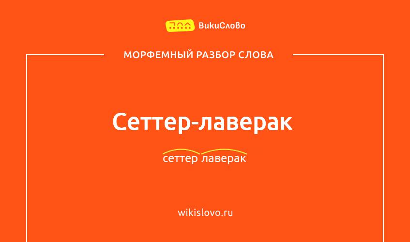 Морфемный разбор слова сеттер-лаверак