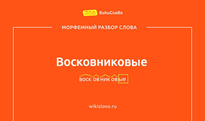 Морфемный разбор слова восковниковые