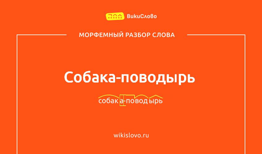 Морфемный разбор слова собака-поводырь