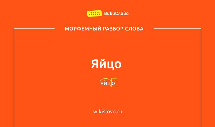 Морфемный разбор слова яйцо