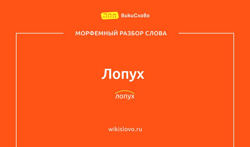 Морфемный разбор слова лопух