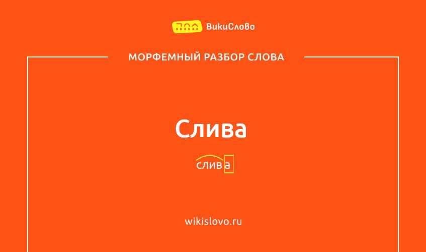 Морфемный разбор слова слива