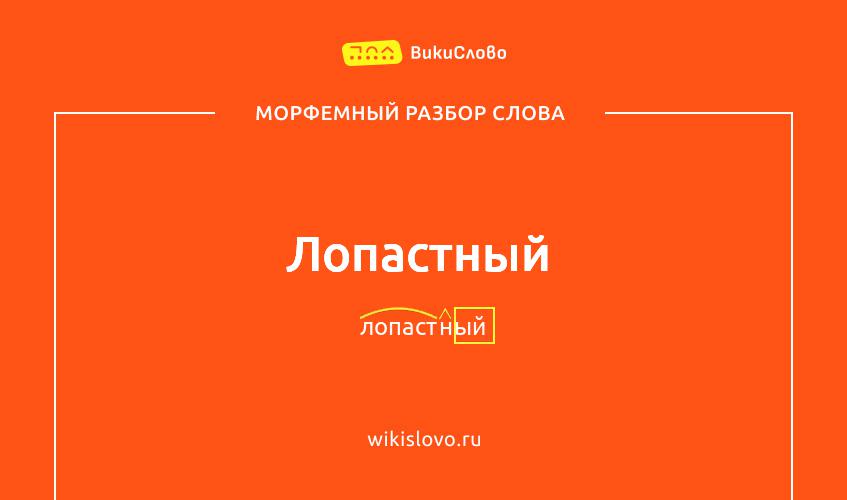 Морфемный разбор слова лопастный
