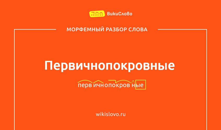 Морфемный разбор слова первичнопокровные