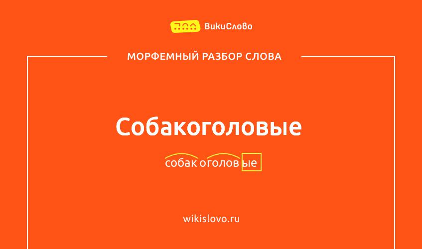 Морфемный разбор слова собакоголовые
