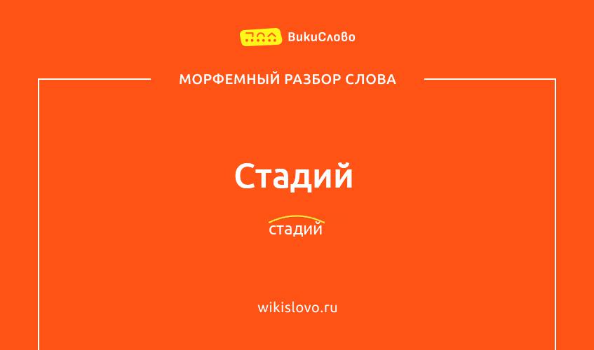 Морфемный разбор слова стадий