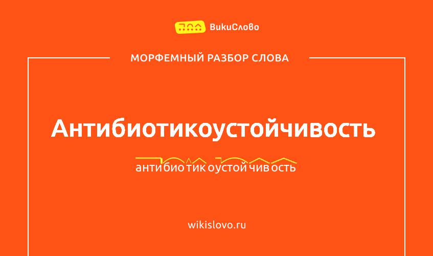 Морфемный разбор слова антибиотикоустойчивость
