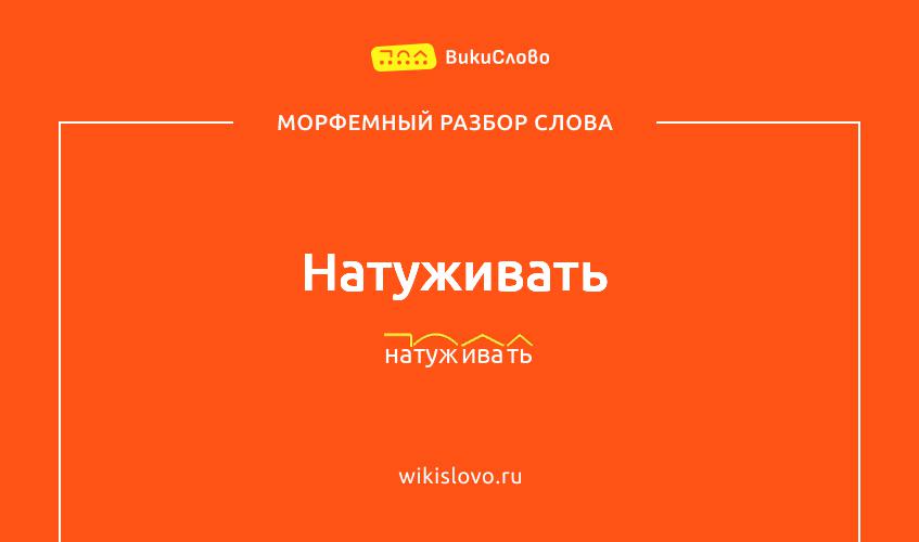 Морфемный разбор слова натуживать