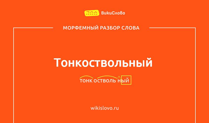 Морфемный разбор слова тонкоствольный