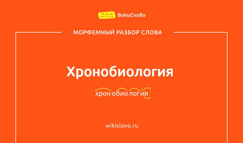 Морфемный разбор слова хронобиология