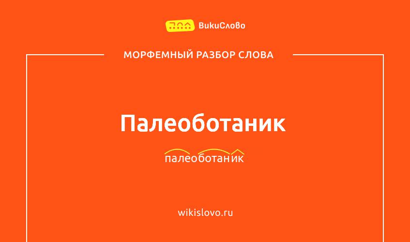 Морфемный разбор слова палеоботаник