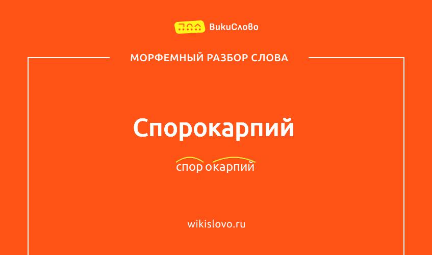 Морфемный разбор слова спорокарпий