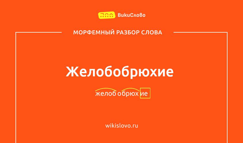 Морфемный разбор слова желобобрюхие