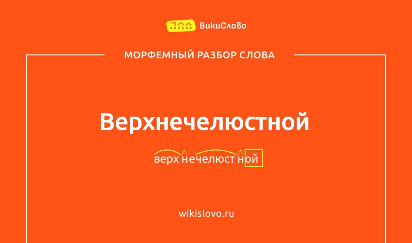 Морфемный разбор слова верхнечелюстной