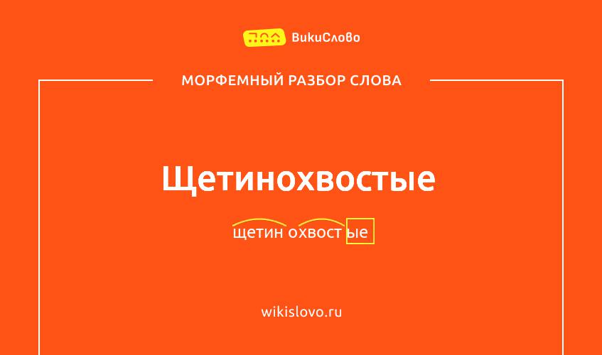 Морфемный разбор слова щетинохвостые