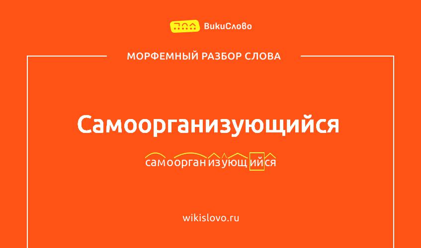 Морфемный разбор слова самоорганизующийся