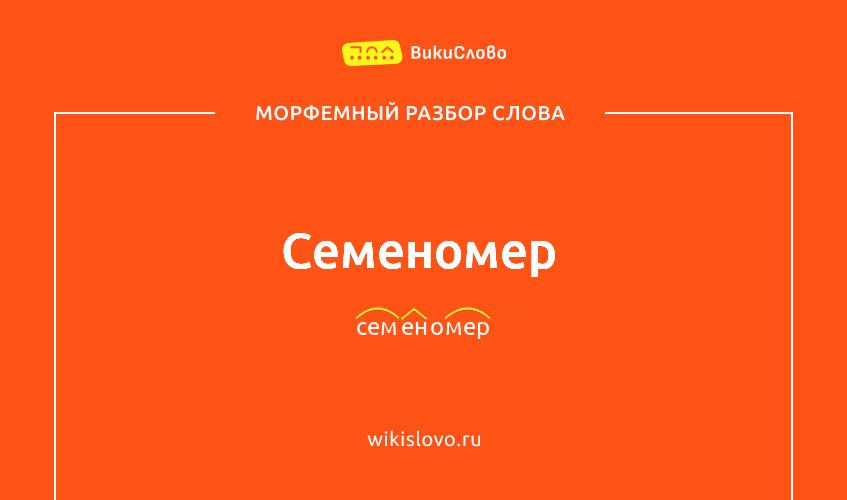 Морфемный разбор слова семеномер