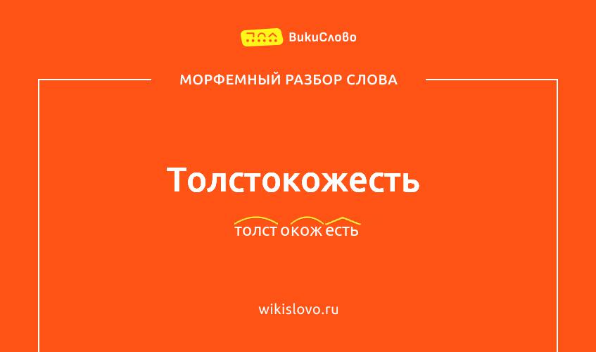 Морфемный разбор слова толстокожесть