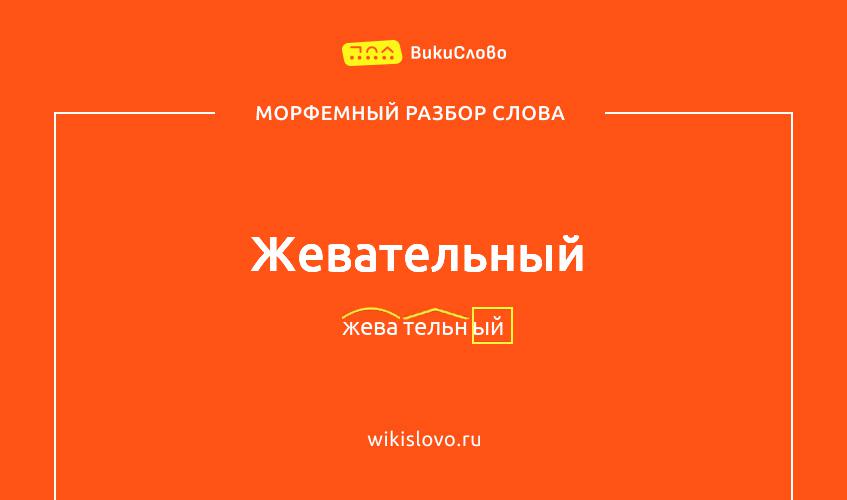 Морфемный разбор слова жевательный