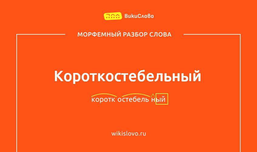 Морфемный разбор слова короткостебельный